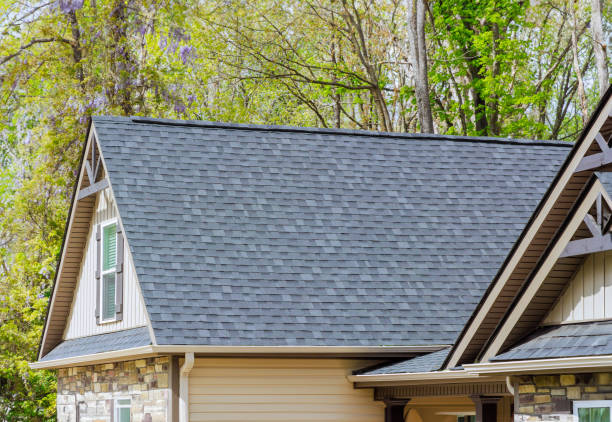 Best Skylight Installation and Repair  in Plattsburgh, NY